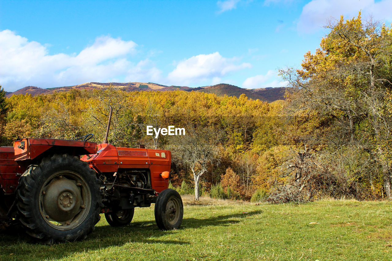 VINTAGE CAR ON FIELD AGAINST TREES