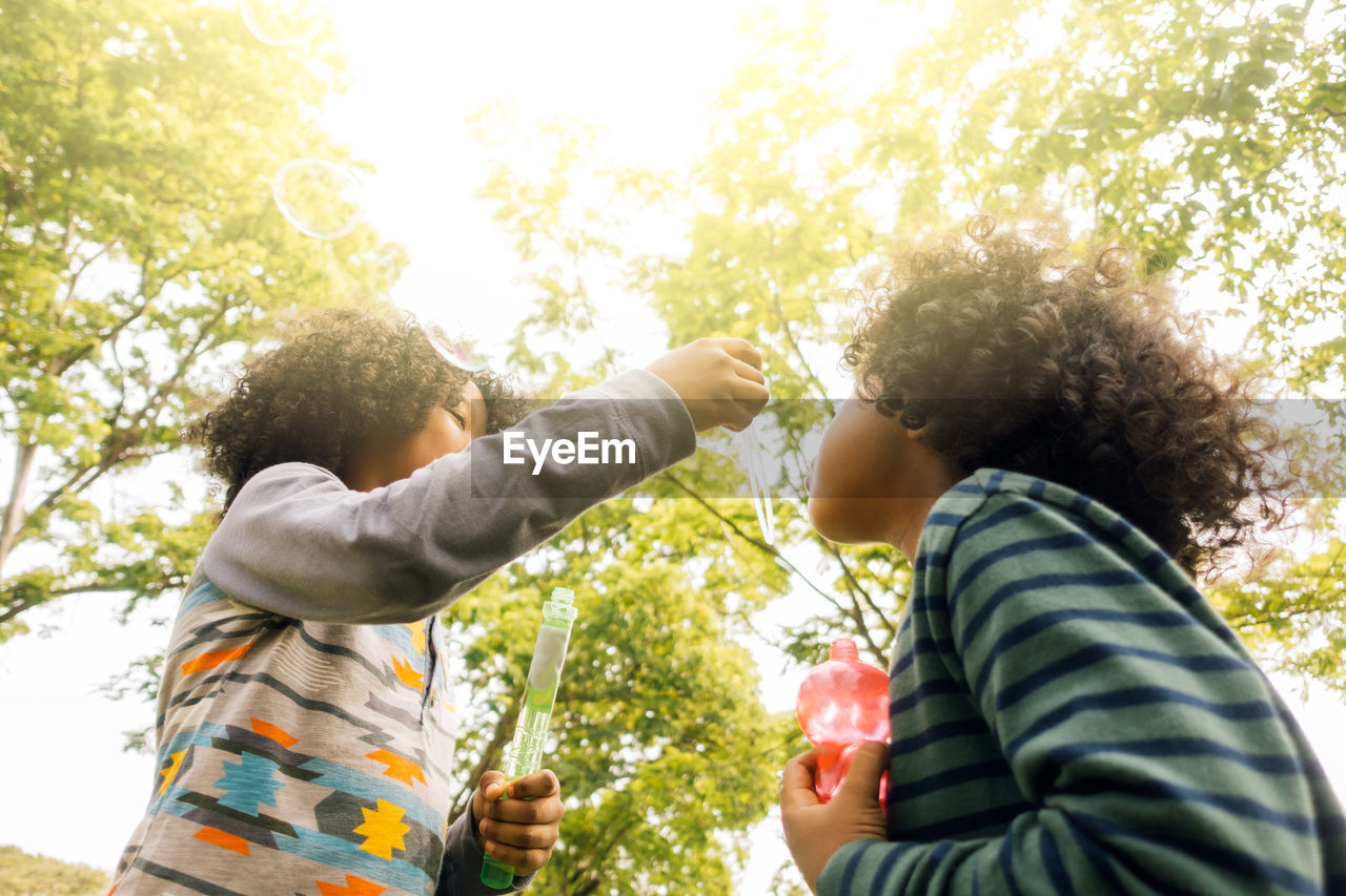 Low angle view of brothers blowing bubbles while standing against trees at park