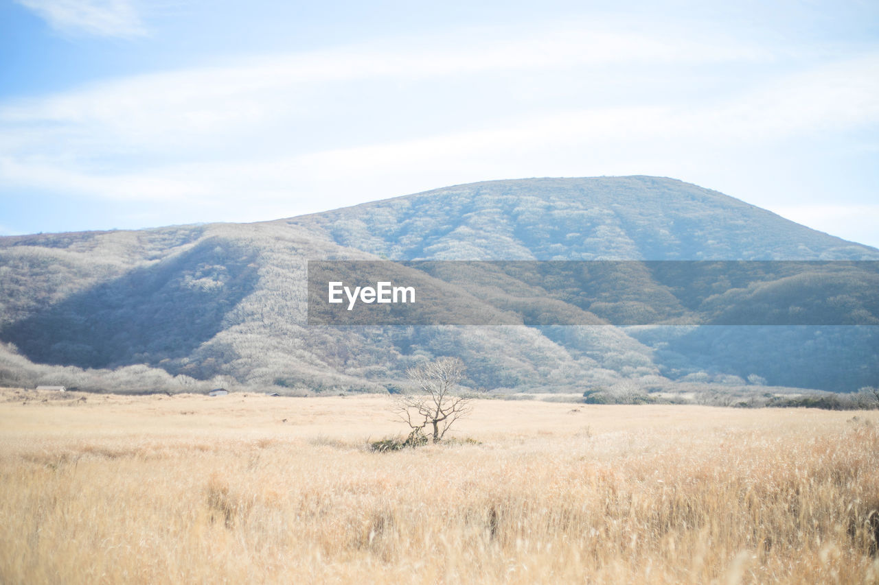 SCENIC VIEW OF ARID LANDSCAPE AGAINST SKY