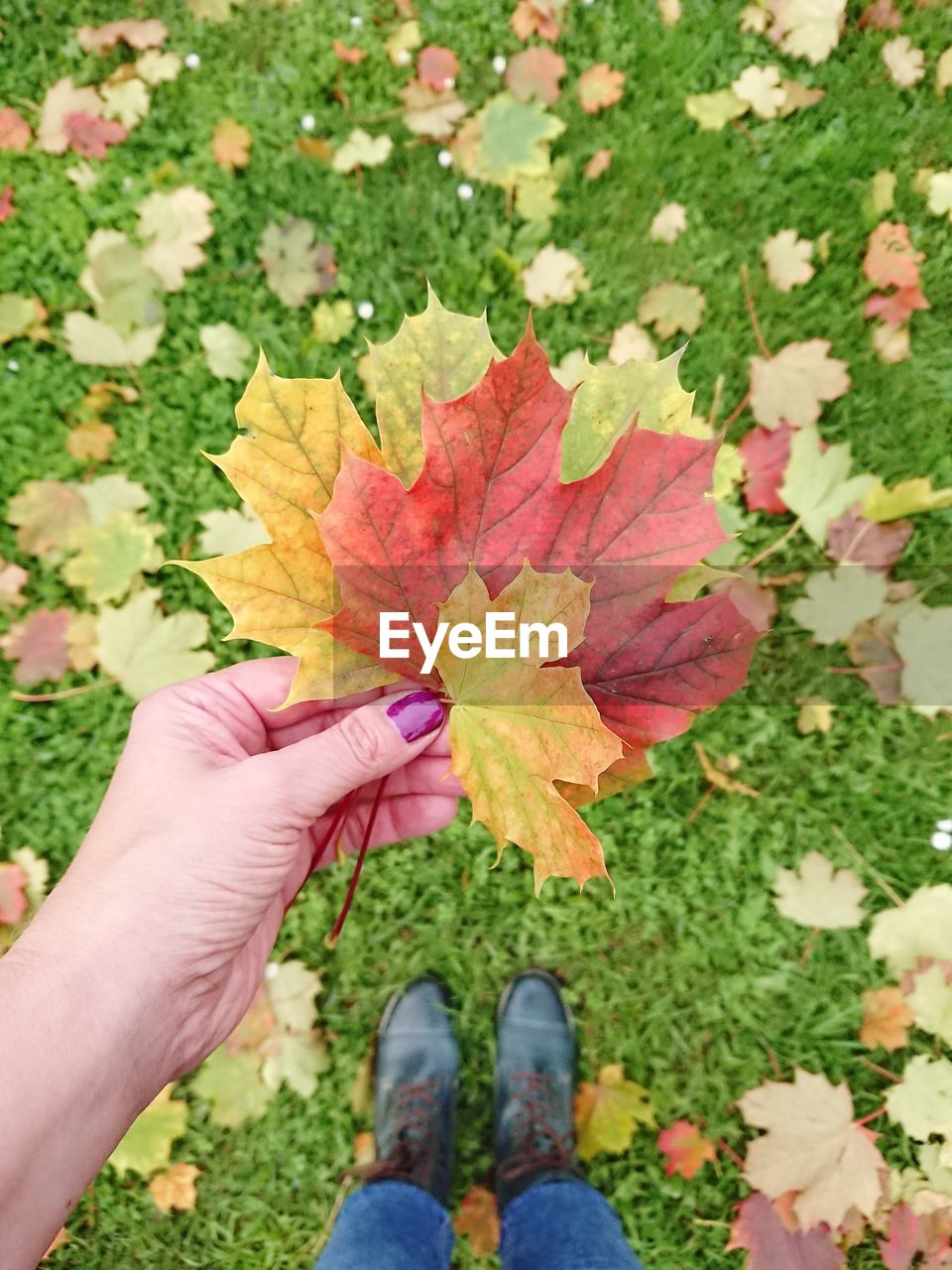 Low section of woman autumn leaves on field