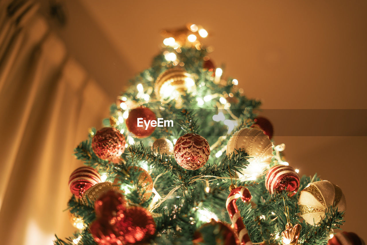 holiday, christmas, celebration, decoration, christmas tree, christmas decoration, tree, illuminated, tradition, christmas ornament, no people, christmas lights, plant, indoors, event, interior design, nature, low angle view, religion, night