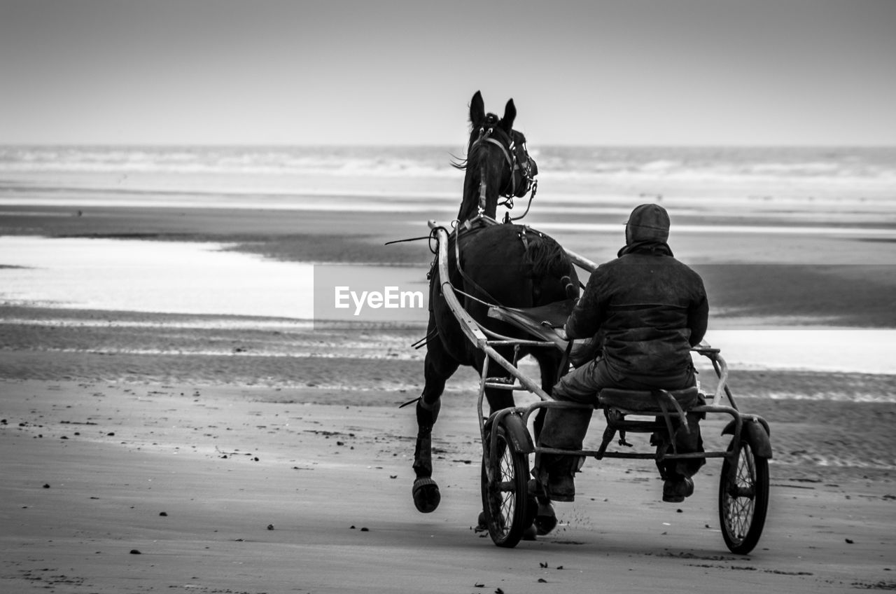 Rear view of a man and a horse on beach