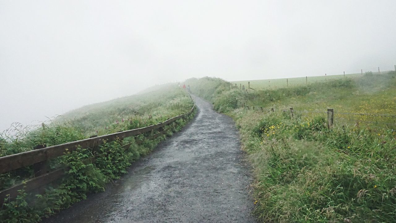 Dirt road passing through field