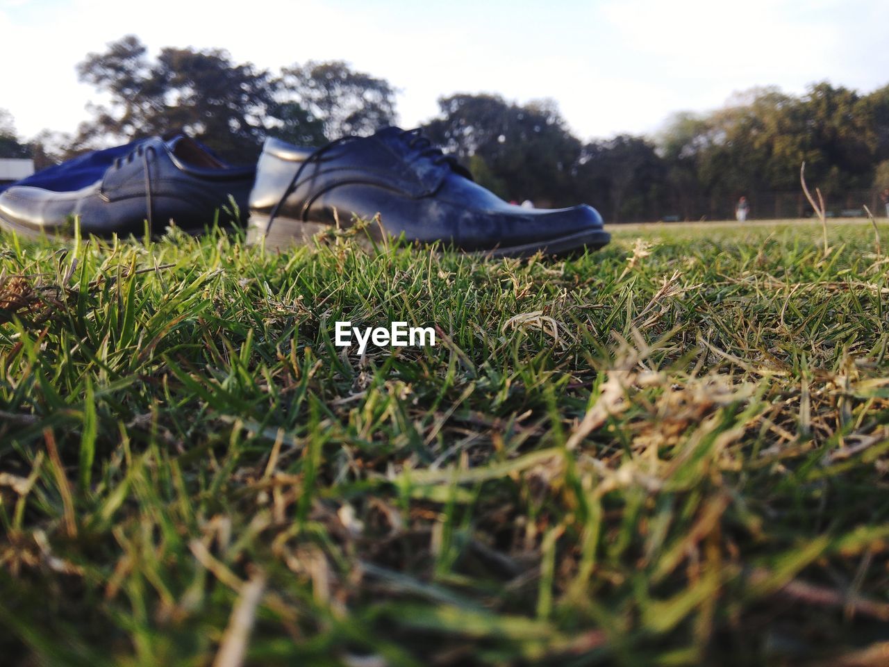 Black leather shoes on grass