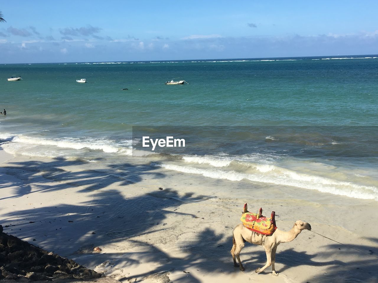 PEOPLE RIDING HORSE ON BEACH