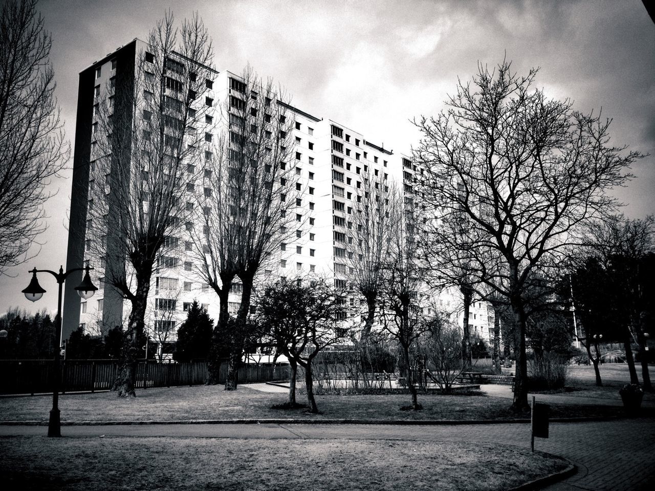 Residential block seen from park