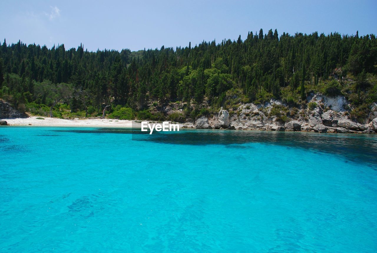 Scenic view of sea in front of trees against sky