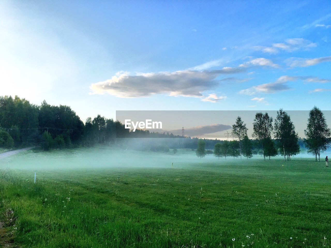 Scenic view of grassy field against sky