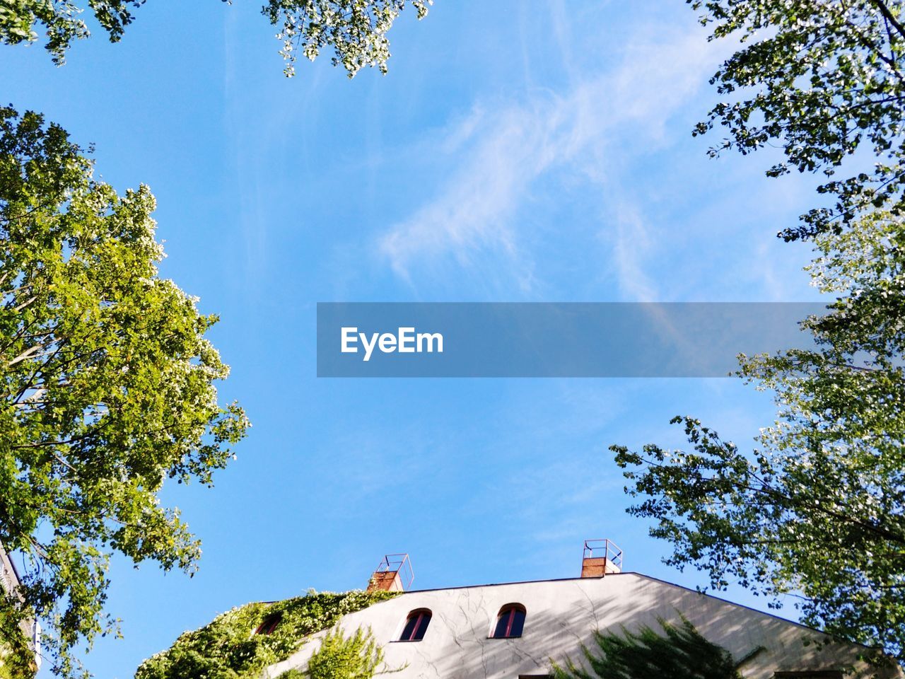 Low angle view of trees and building against sky