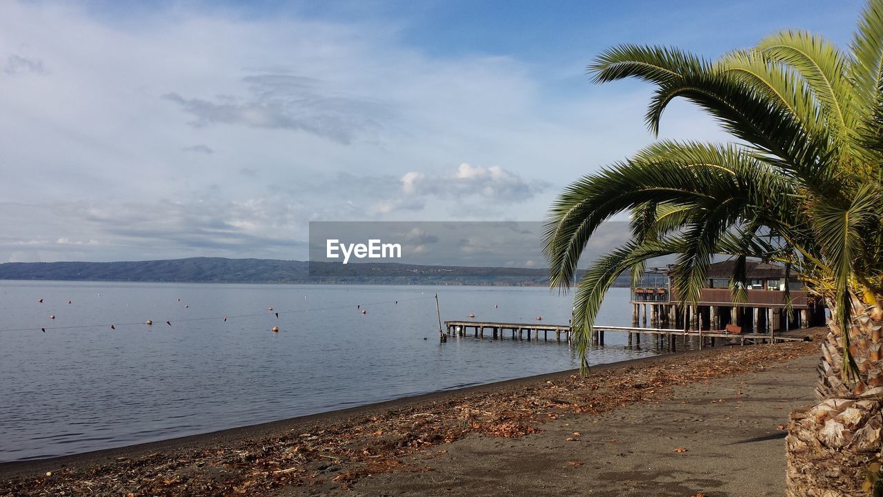 Palm trees on beach against sky