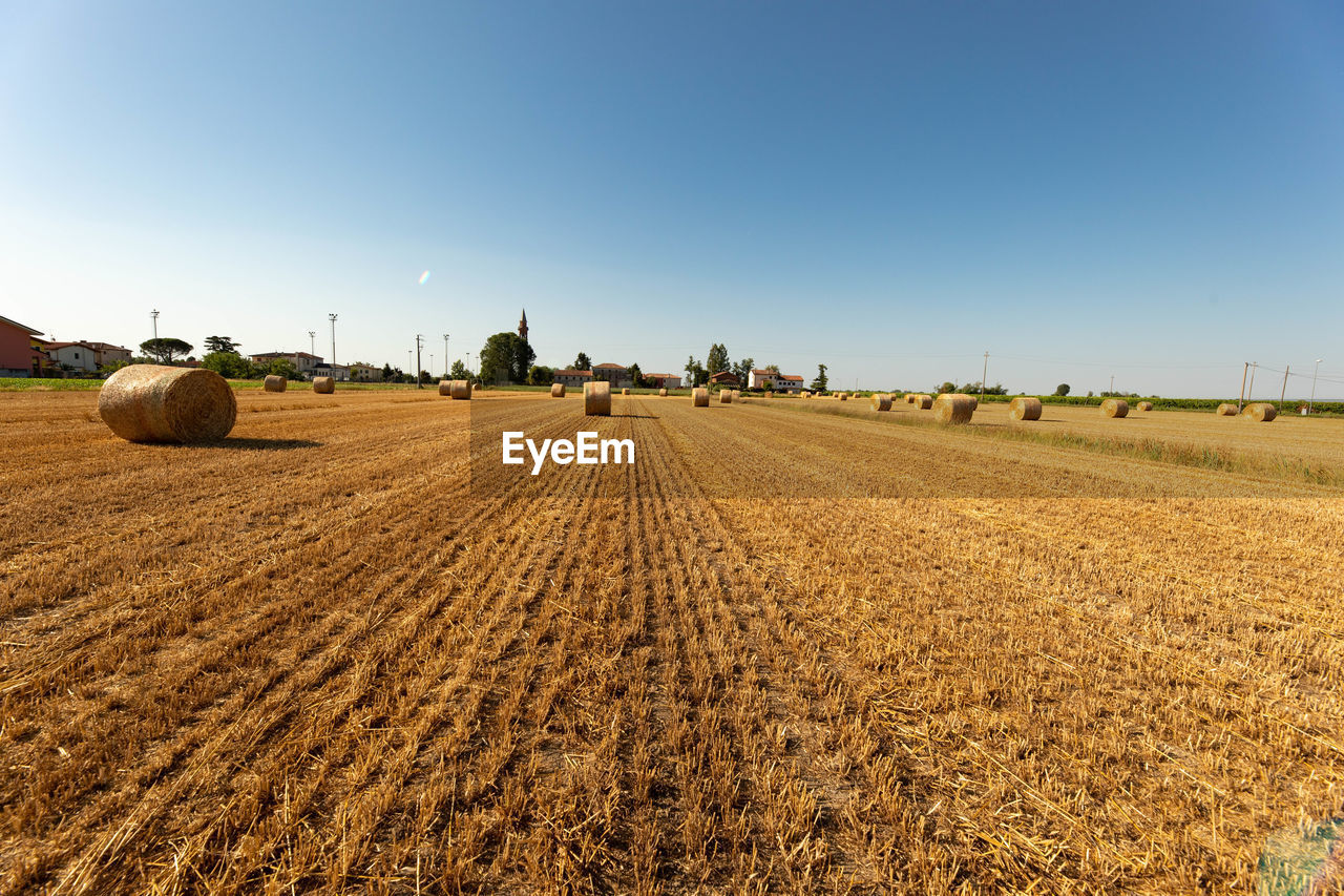 landscape, agriculture, land, environment, rural scene, field, sky, farm, soil, nature, crop, plant, plain, cereal plant, scenics - nature, harvesting, horizon, hay, beauty in nature, no people, food, tranquility, prairie, blue, growth, rural area, summer, tranquil scene, sunlight, day, corn, harvest, clear sky, bale, outdoors, food and drink, sunny, grassland, horizon over land, transportation, urban skyline, idyllic, barley
