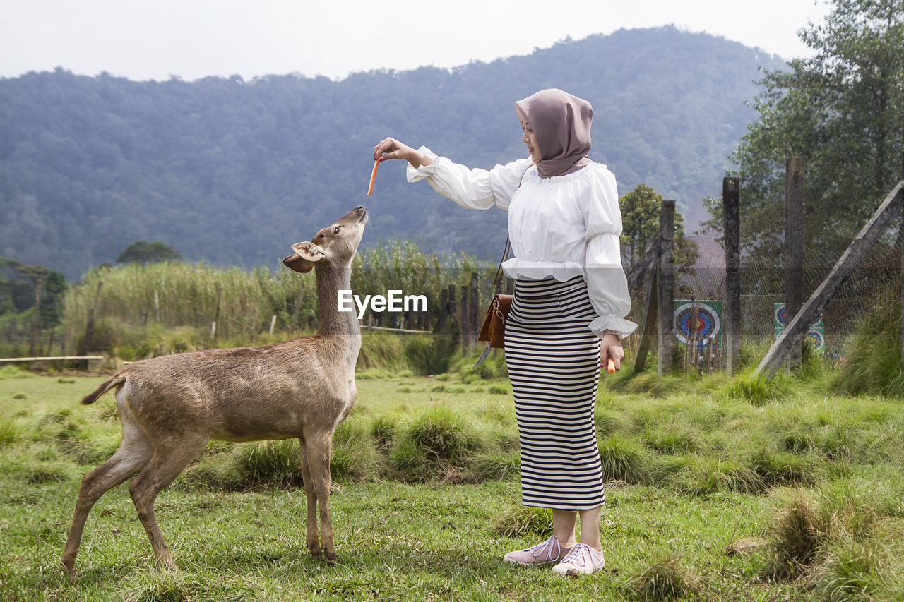 Beautiful asian girl playing and feeding a deer at rancaupas, ciwidey, bandung, indonesia