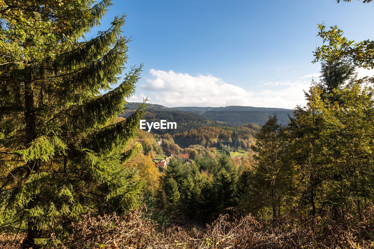 Scenic view of trees and mountains against sky