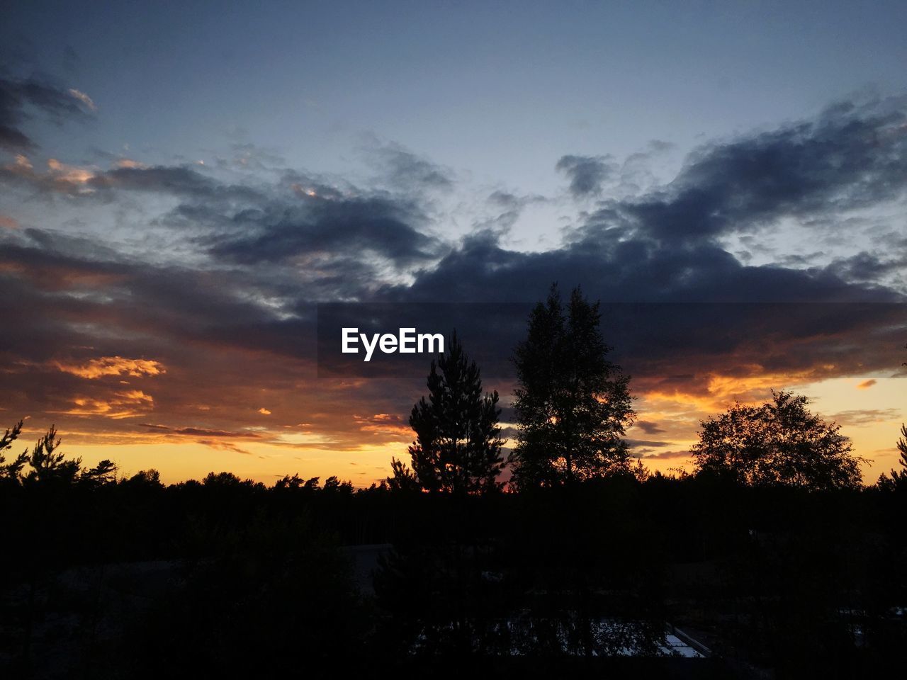 SILHOUETTE TREES ON LANDSCAPE AGAINST SKY AT SUNSET