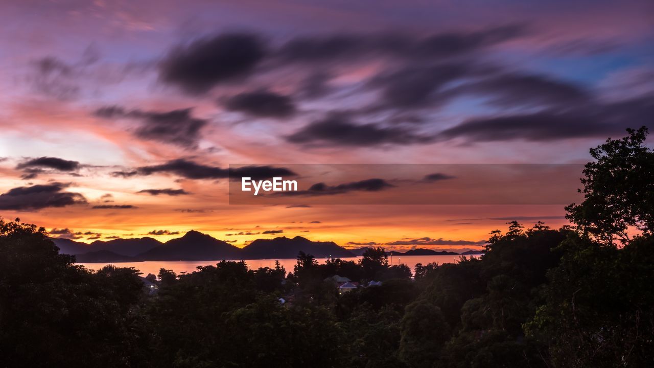 SCENIC VIEW OF SILHOUETTE TREES AGAINST DRAMATIC SKY DURING SUNSET