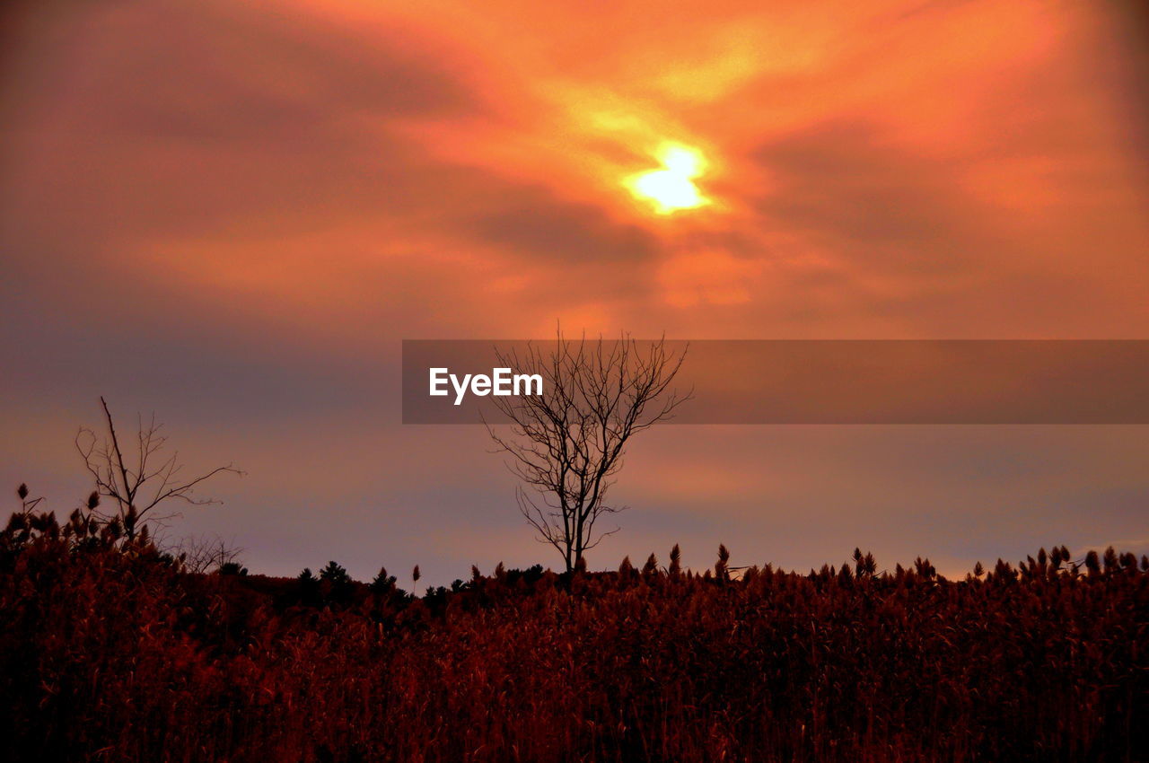 Scenic view of landscape against sky at sunset