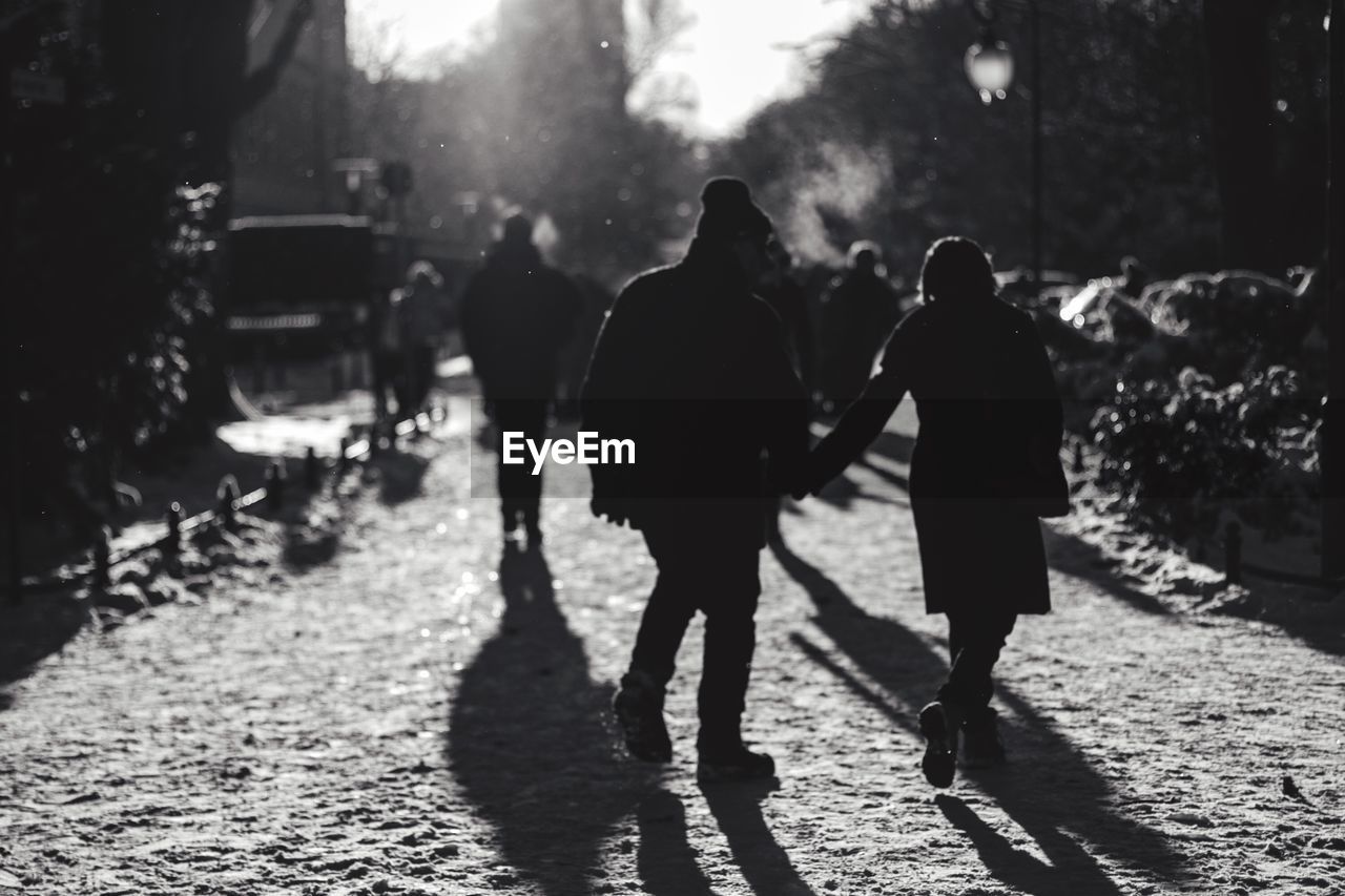 Silhouette people walking in park during winter