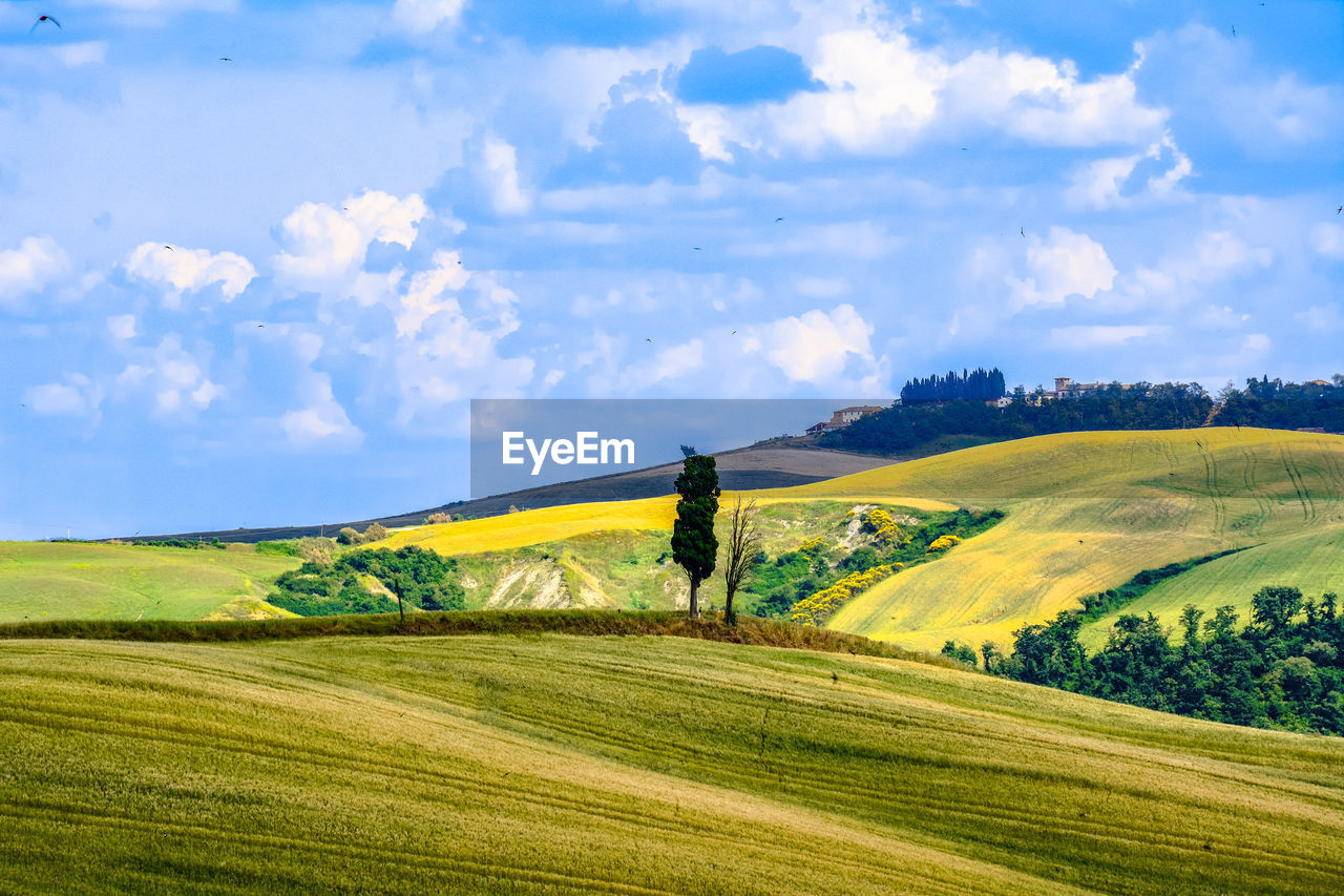 Scenic view of field against cloudy sky