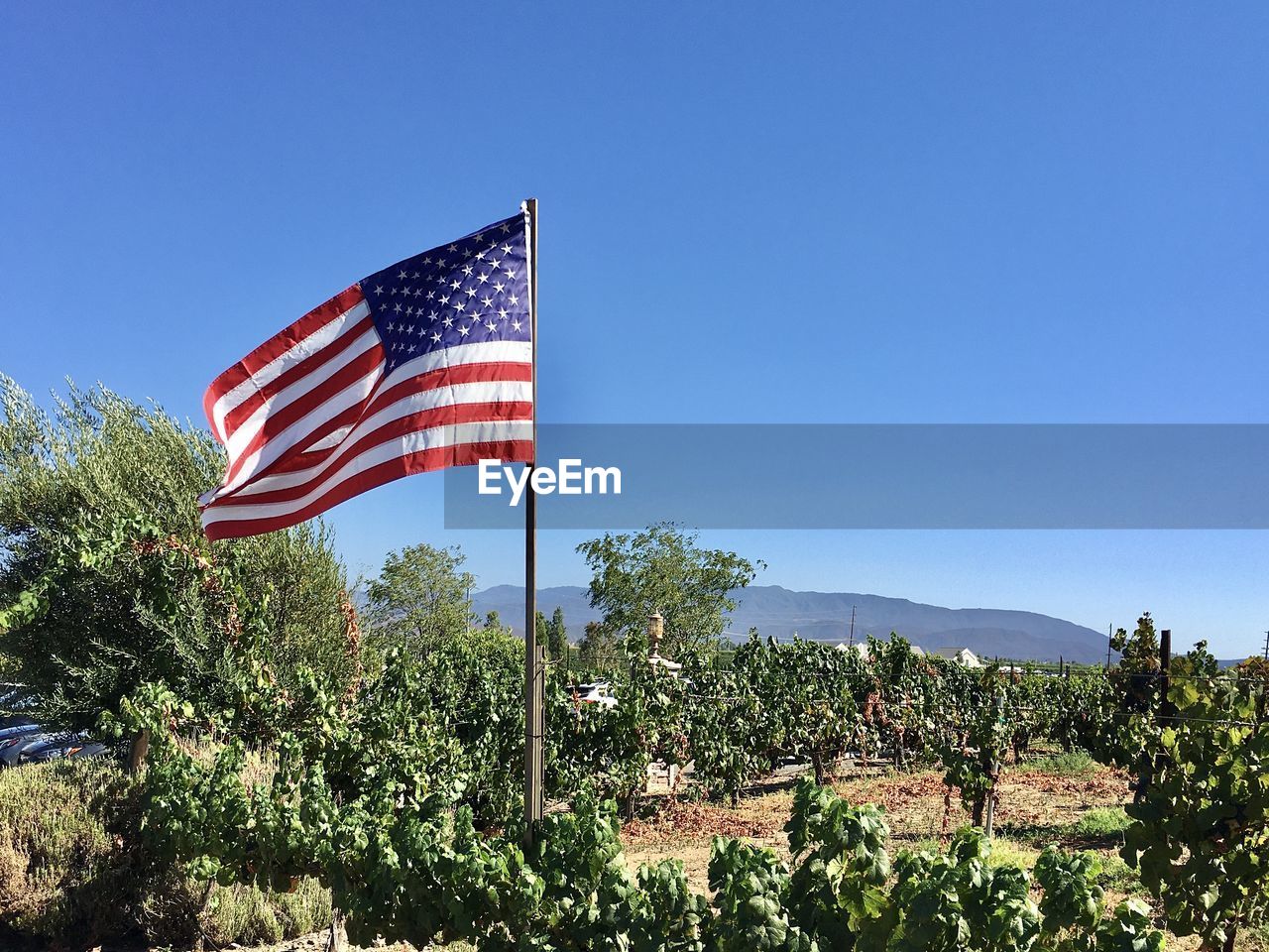 SCENIC VIEW OF FLAGS AGAINST CLEAR SKY
