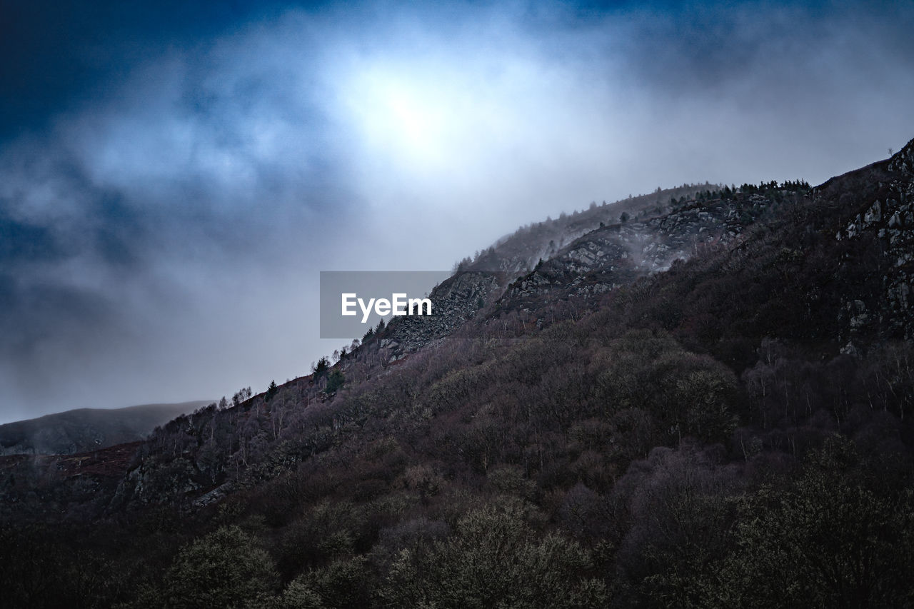 nature, mountain, sky, cloud, environment, landscape, scenics - nature, land, beauty in nature, mountain range, wilderness, tree, darkness, plant, no people, forest, summit, outdoors, ridge, travel destinations, non-urban scene, travel, fog, snow, tranquility, morning