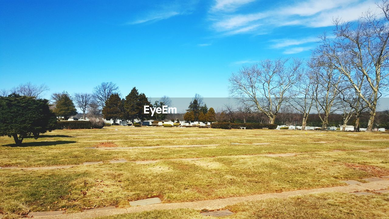 Scenic view of grassy field against cloudy sky