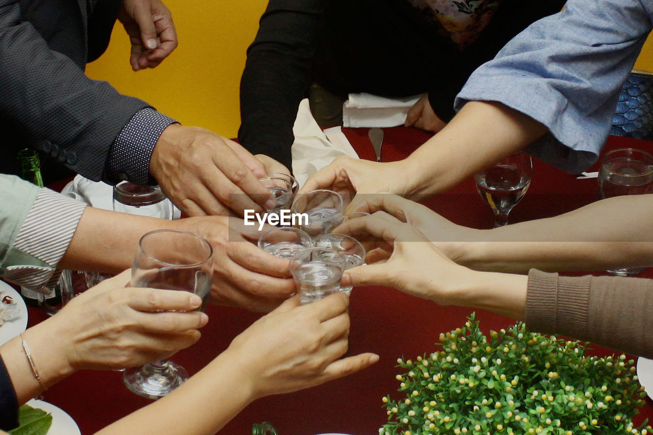 Cropped image of friends toasting at table