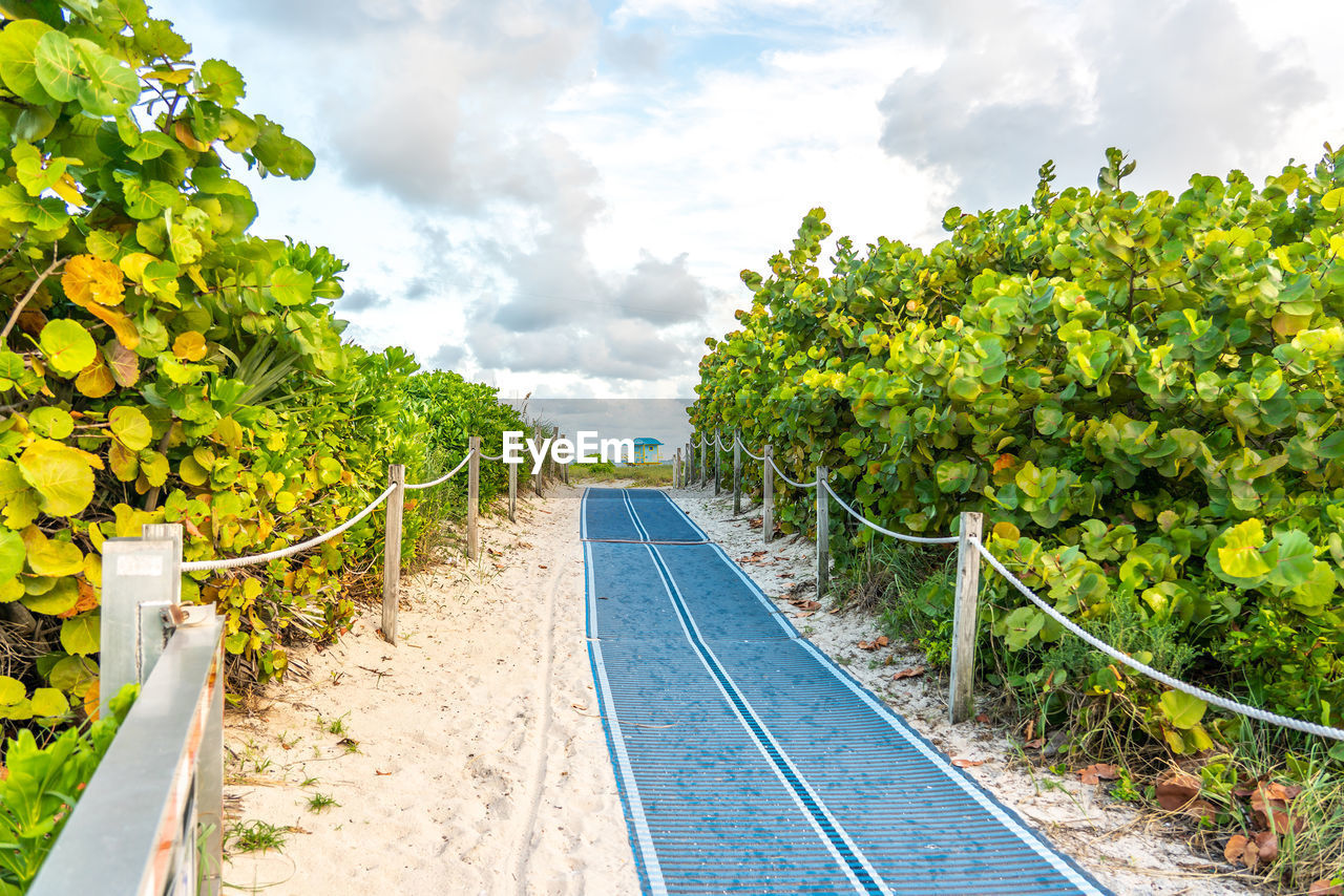 RAILROAD TRACKS AMIDST TREES AGAINST SKY