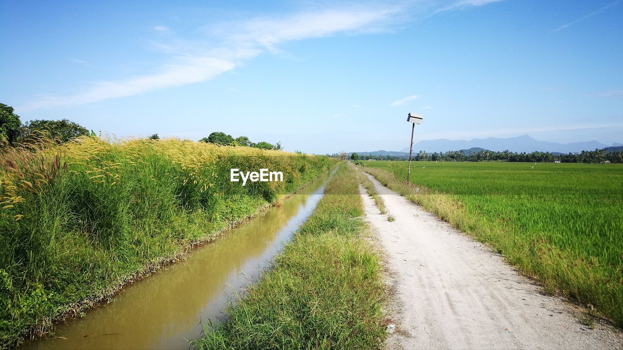 Road amidst agricultural field against sky