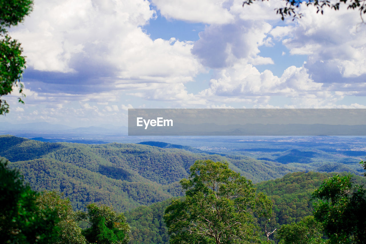 SCENIC VIEW OF LANDSCAPE AND TREES AGAINST SKY