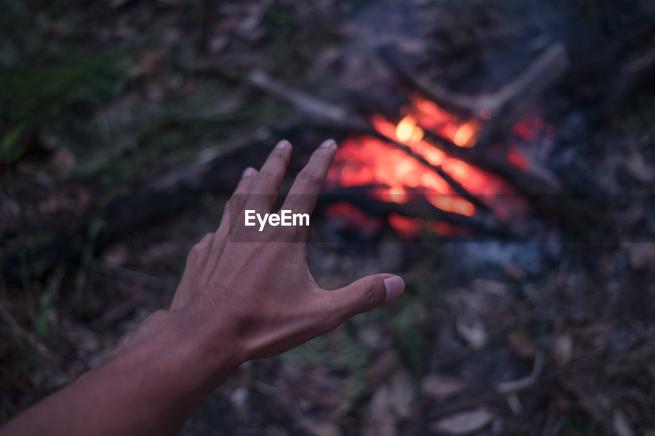 Cropped image of hand over campfire