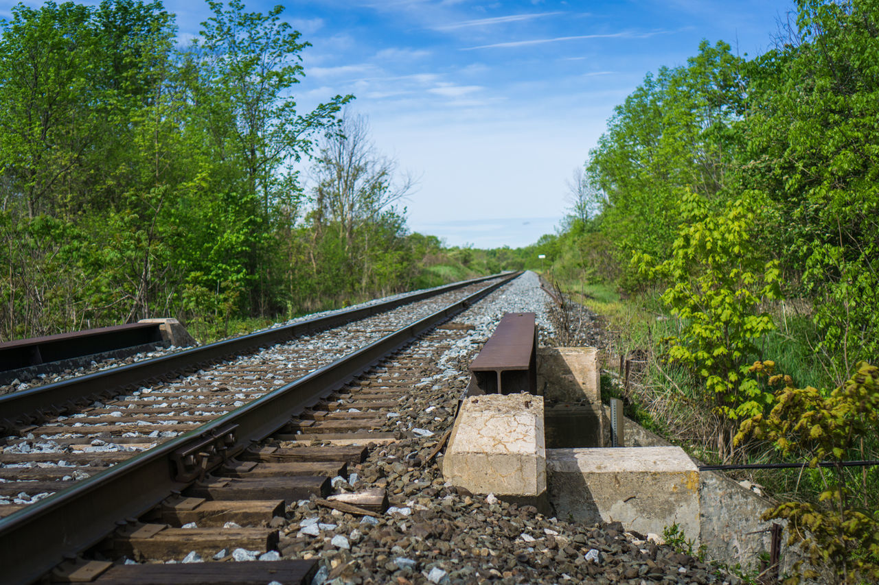 RAILROAD TRACK BY TREES AGAINST SKY