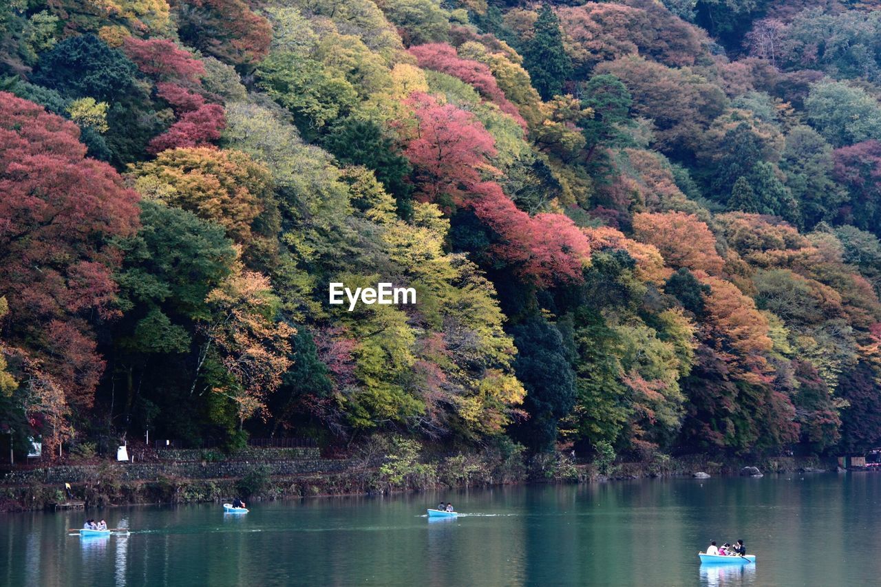 Autumn trees growing by lake