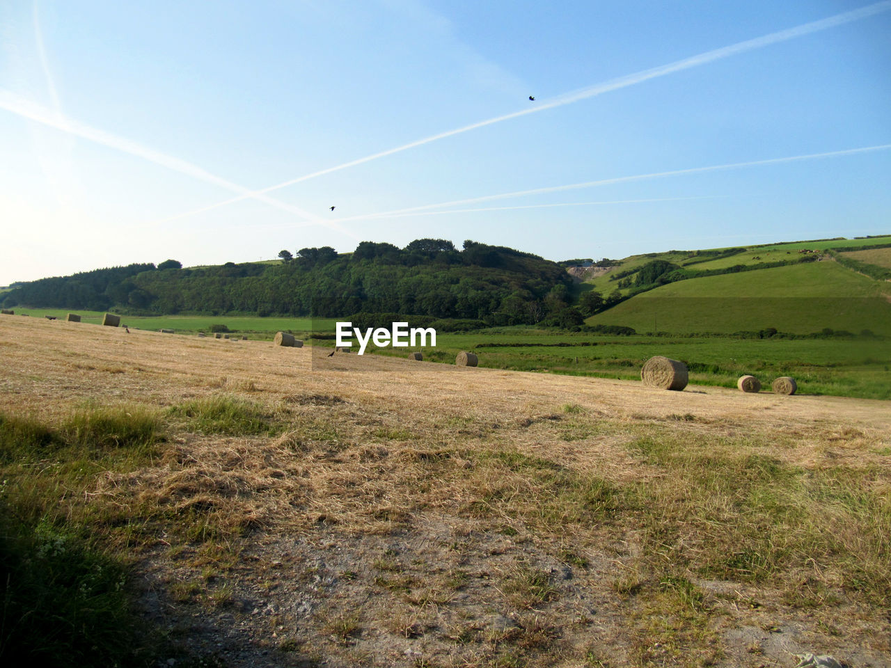 VIEW OF RURAL LANDSCAPE