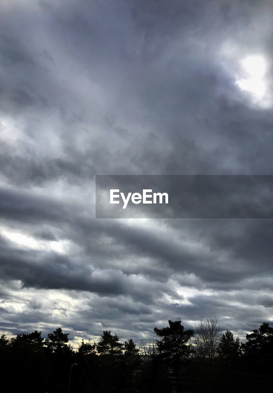 LOW ANGLE VIEW OF SILHOUETTE TREES AGAINST CLOUDY SKY