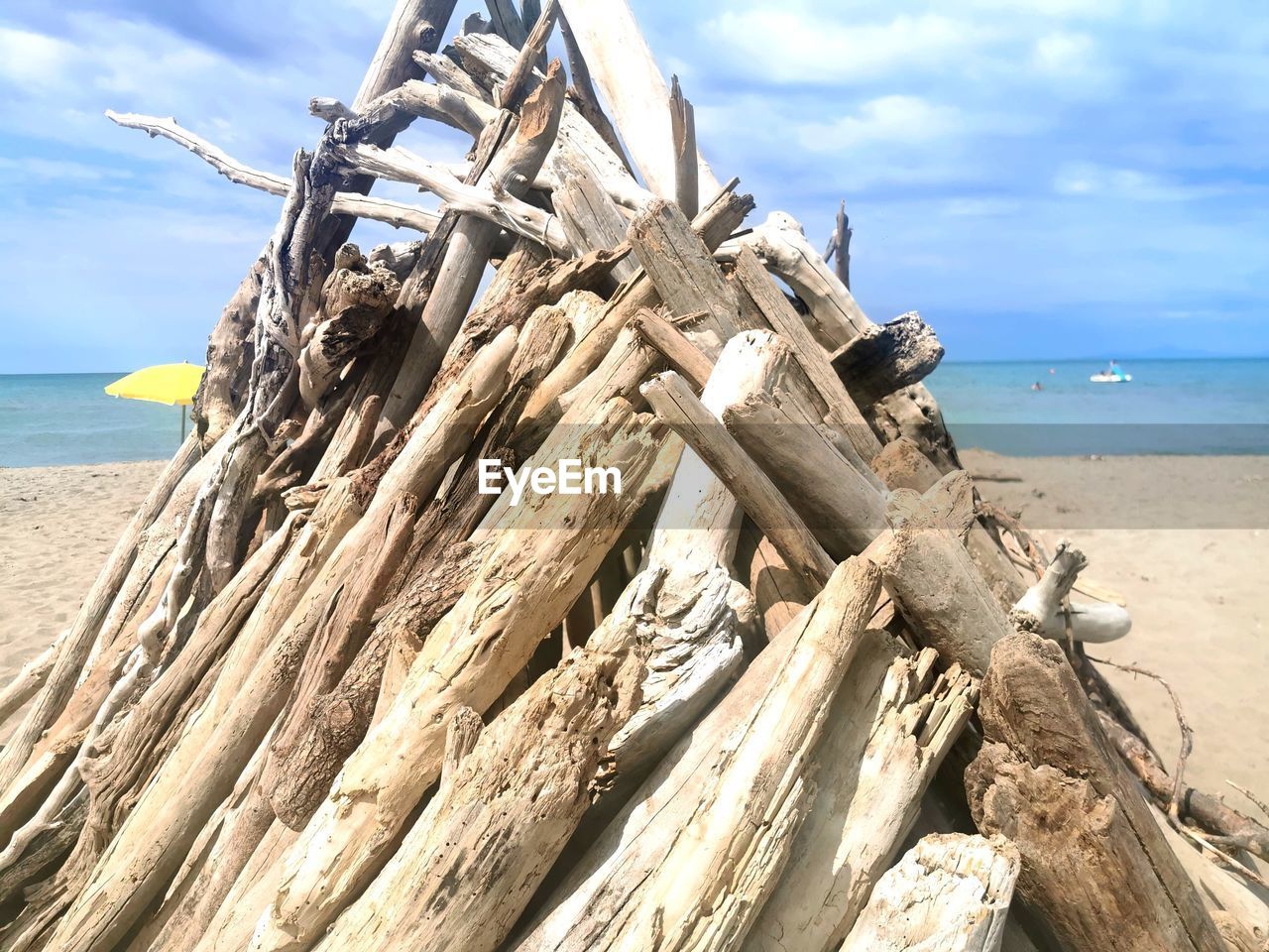 VIEW OF DRIFTWOOD ON BEACH