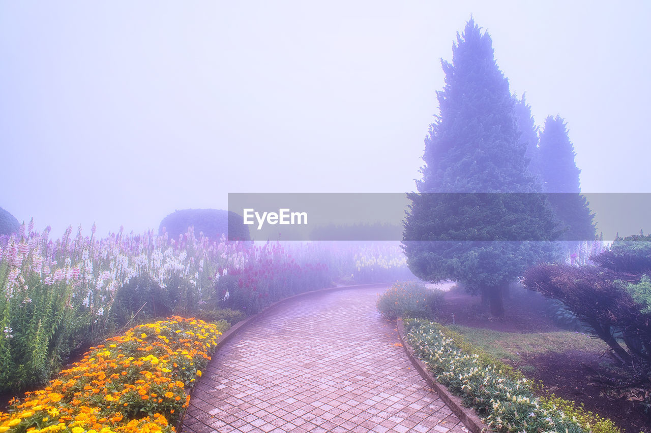 SCENIC VIEW OF FIELD AGAINST CLEAR SKY