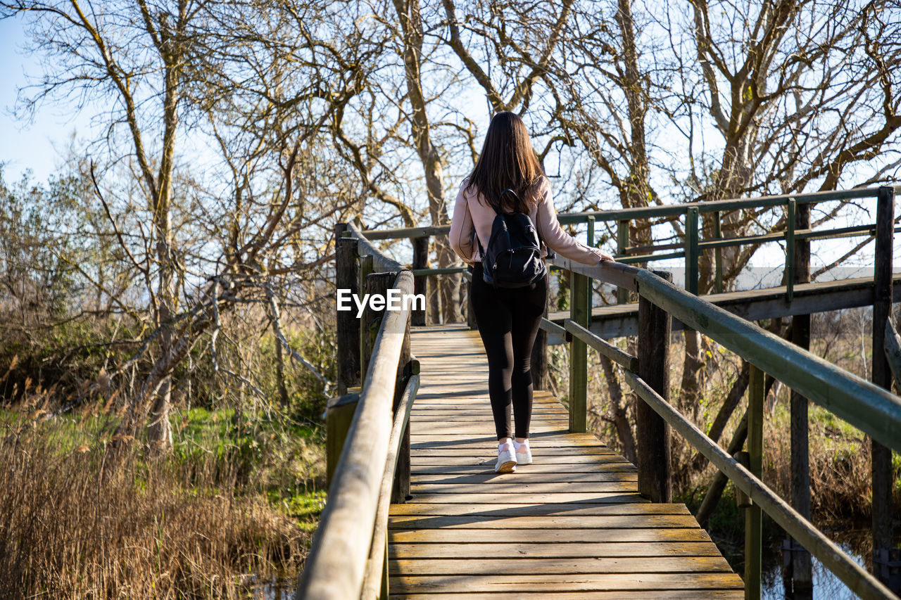 Beautiful woman hiking on a wooden runway above a swamp back shot person