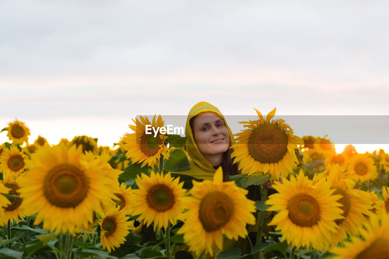 HIGH ANGLE VIEW OF YELLOW SUNFLOWERS AGAINST SKY