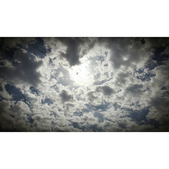 SILHOUETTE OF TREES AGAINST CLOUDY SKY