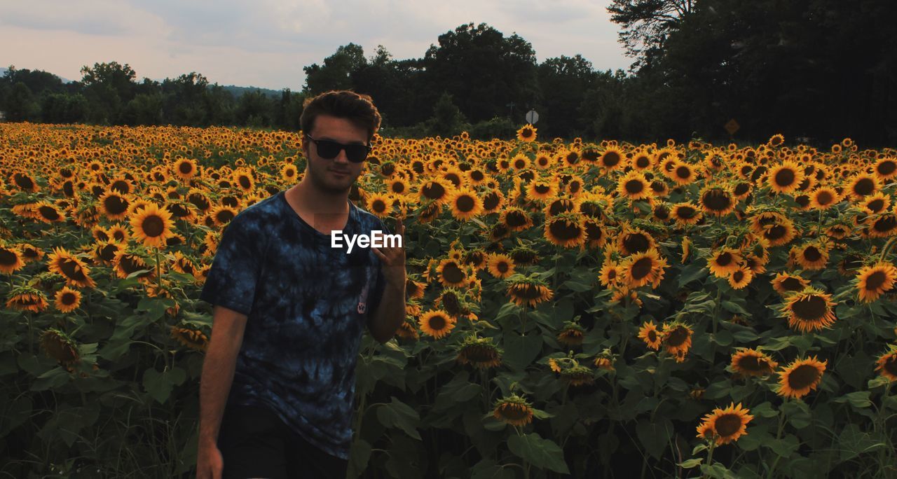 Portrait of man pointing while standing at sunflower farm