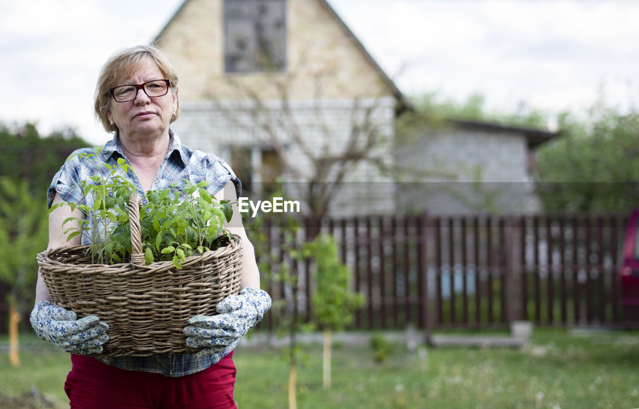 Senior caucasian woman holding a basket with tomato seedlings in the garden of a country house