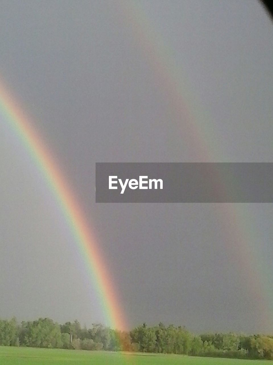 SCENIC VIEW OF RAINBOW OVER TREES