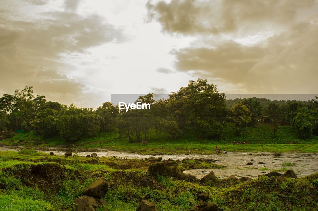 SCENIC VIEW OF TREES ON LAND AGAINST SKY