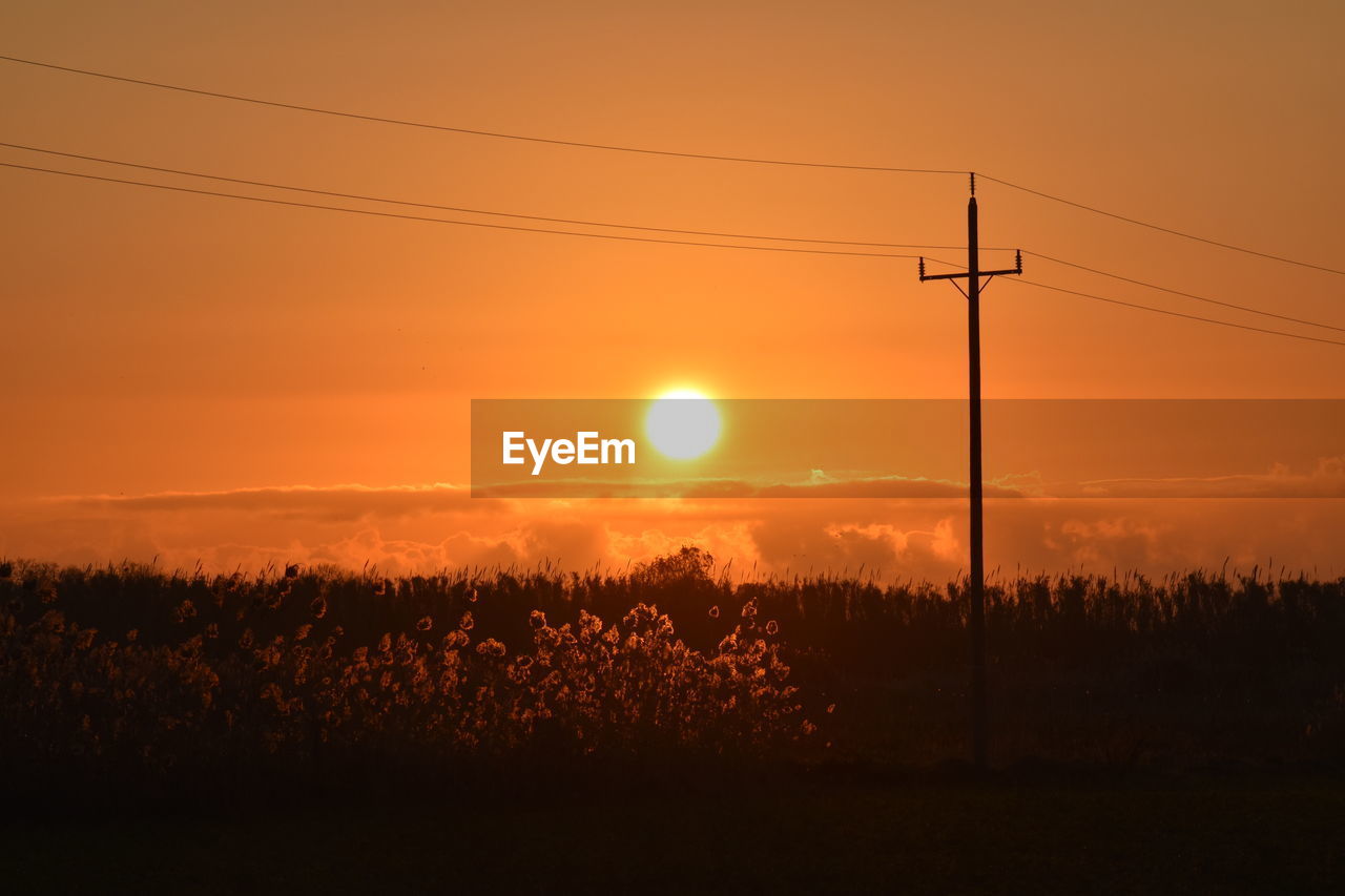 Scenic view of field against sky during sunrise