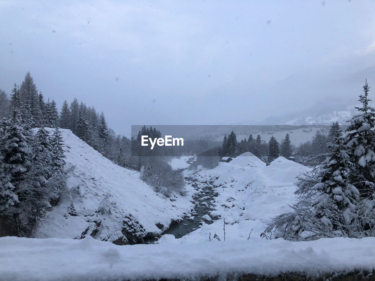 SNOW COVERED TREES AGAINST SKY