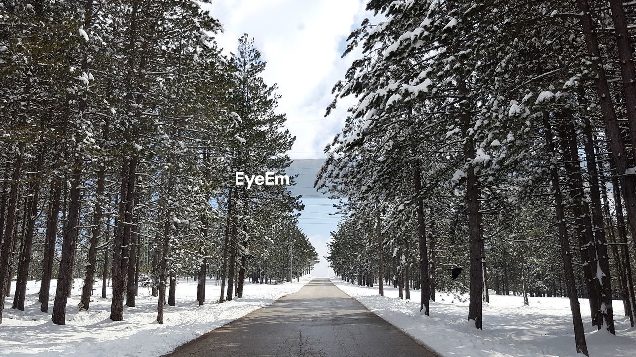 Road amidst trees against sky during winter