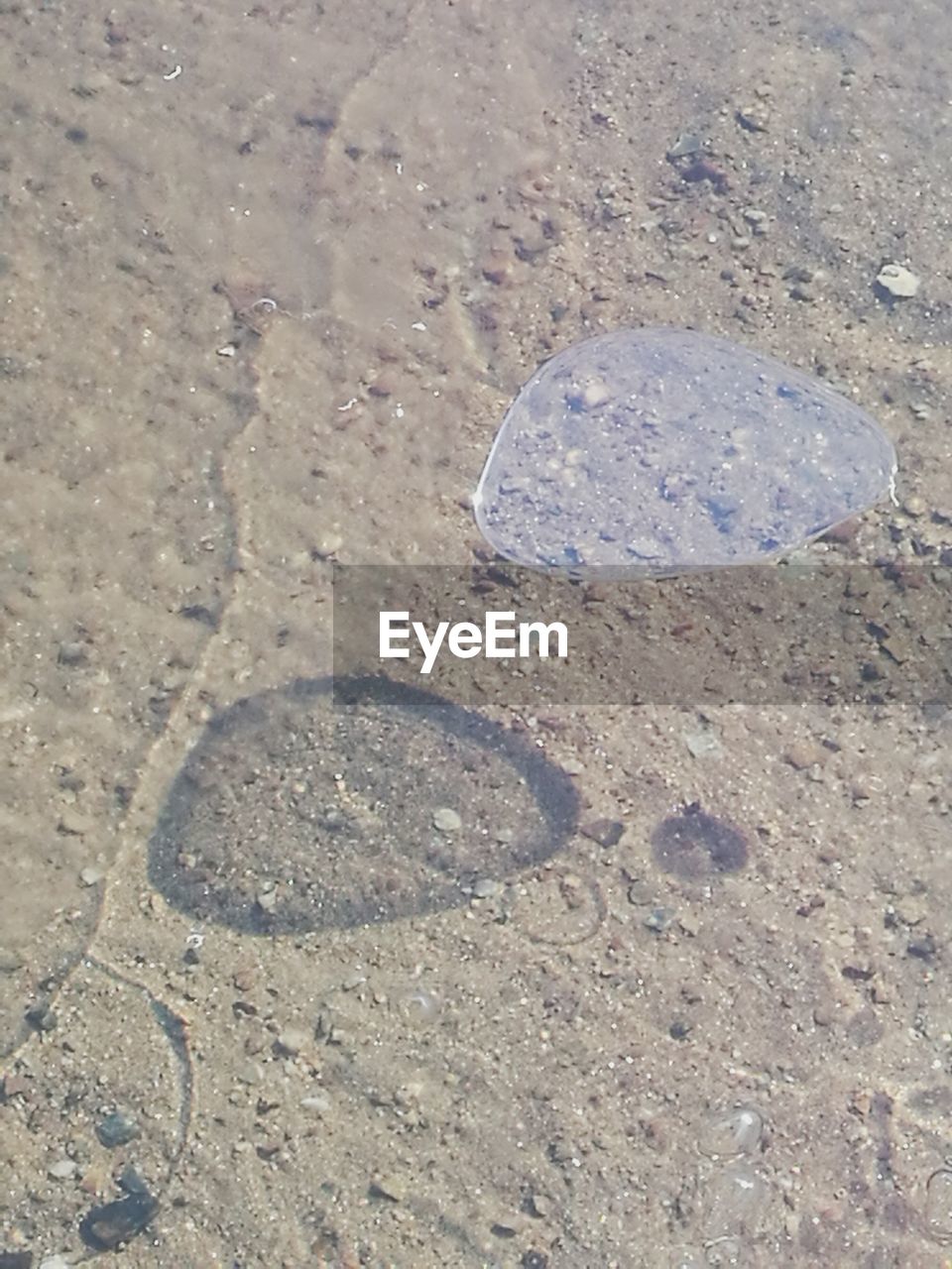 HIGH ANGLE VIEW OF SAND ON BEACH