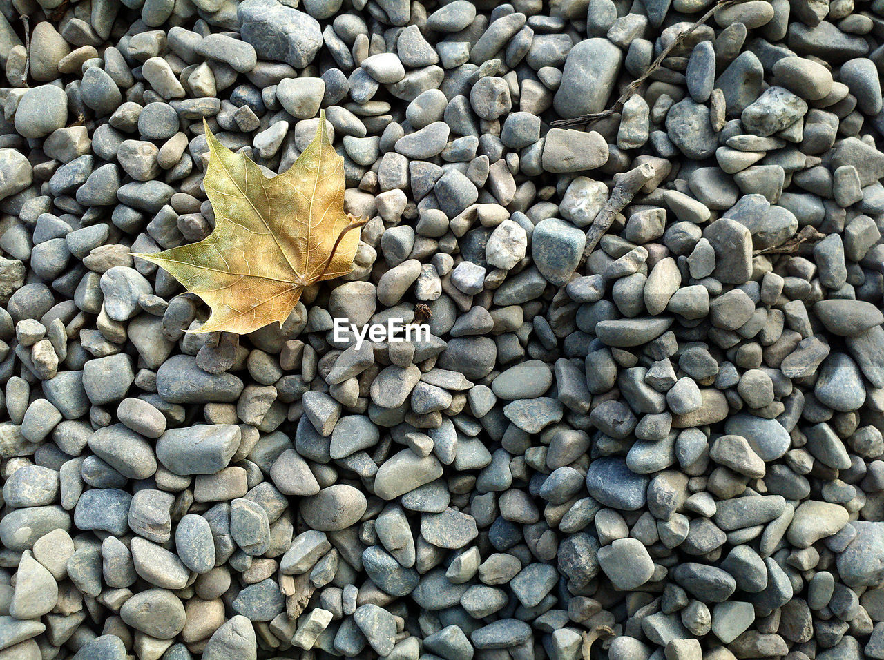 High angle view of pebbles