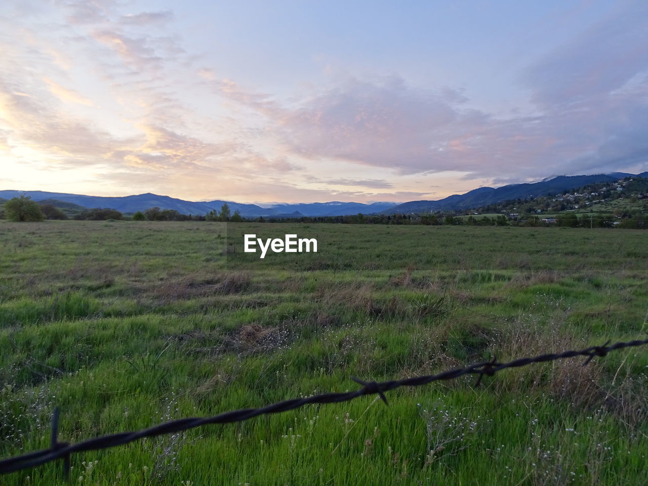 SCENIC VIEW OF GRASSY FIELD AGAINST SKY