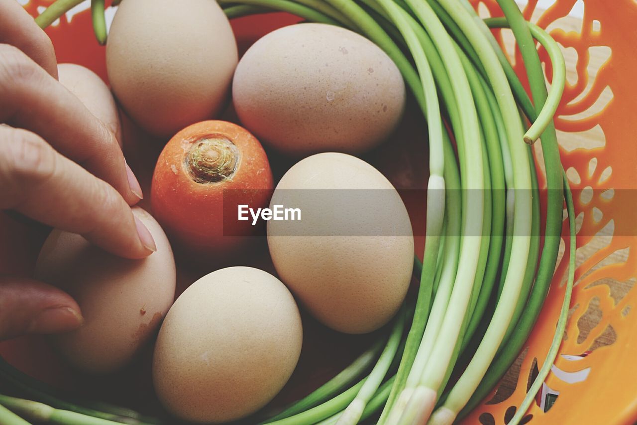 CLOSE-UP OF EGGS IN CONTAINER